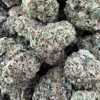 Godfather OG