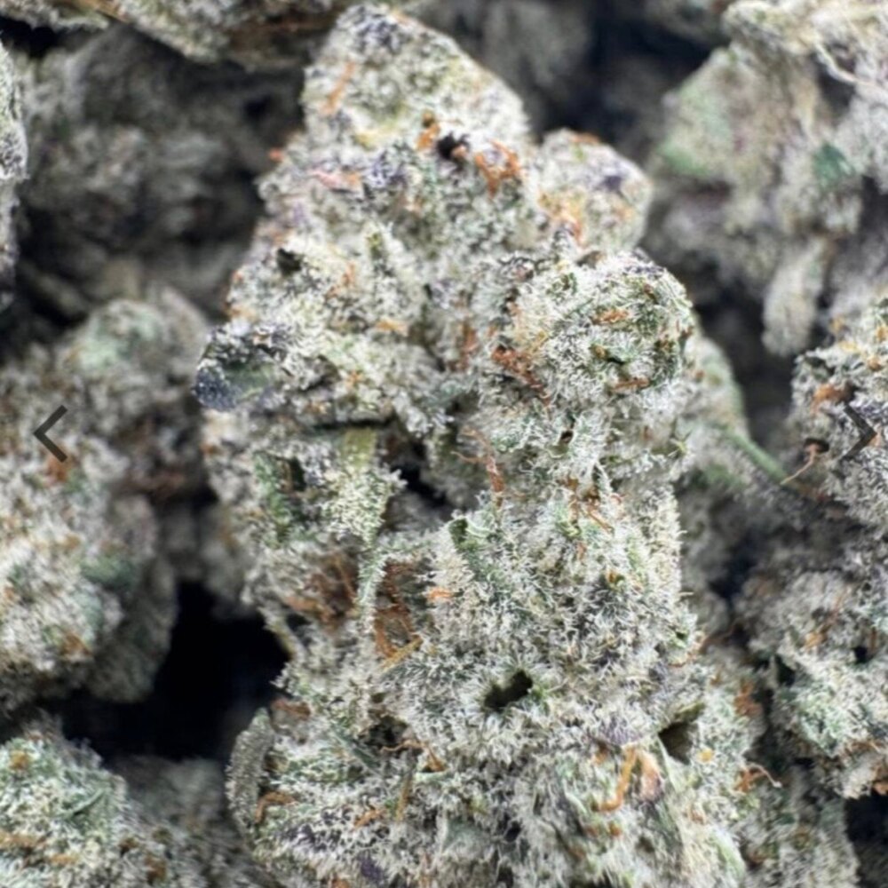Godfather OG